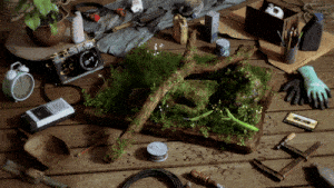 瑞云3D渲染大赛作品《捕猎》