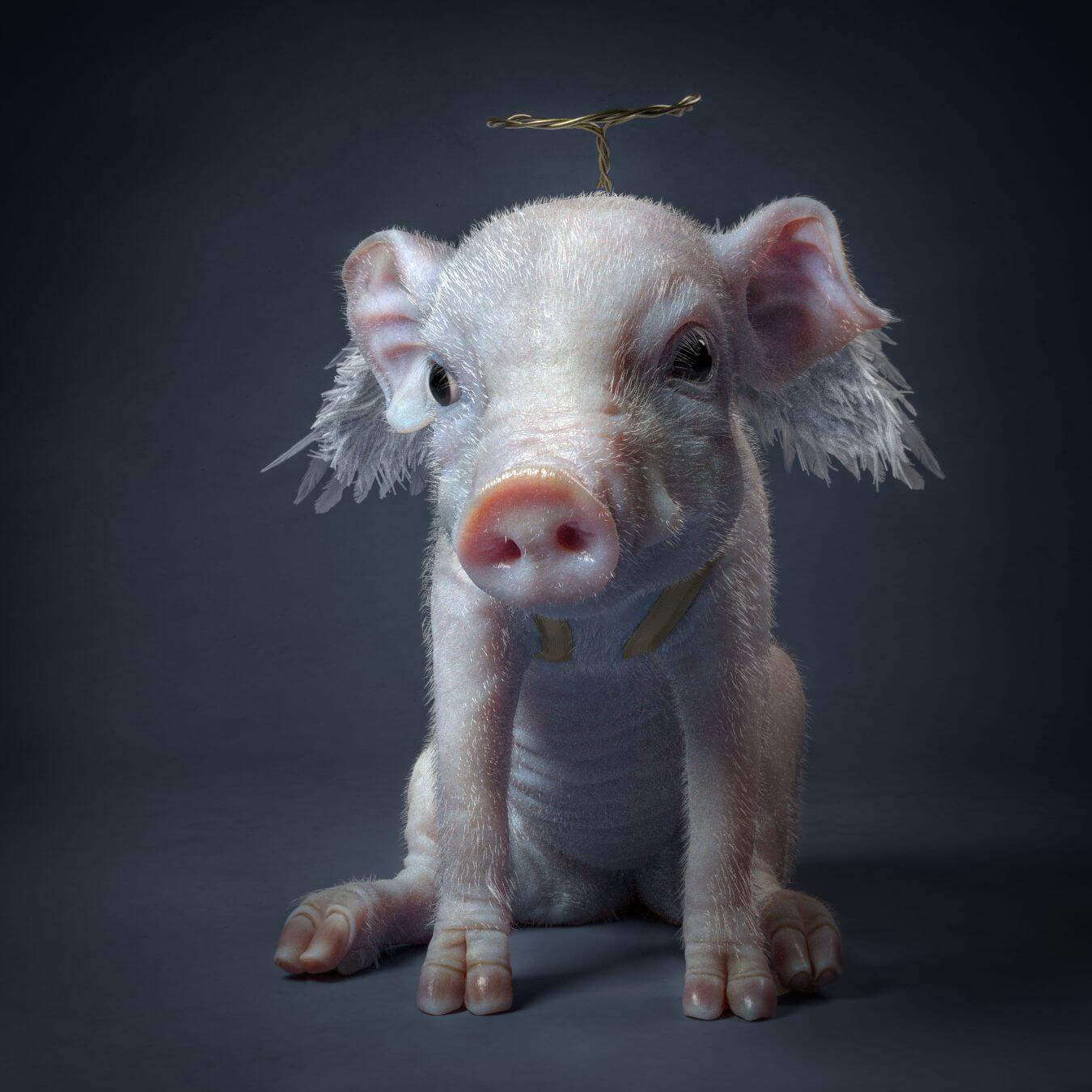 使用Maya和ZBrush制作一只小猪