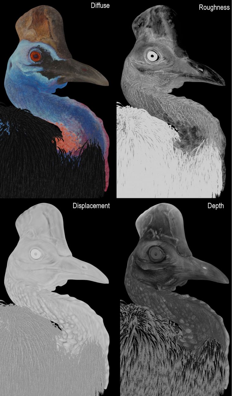 20200429 114716 005