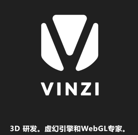 VINZI