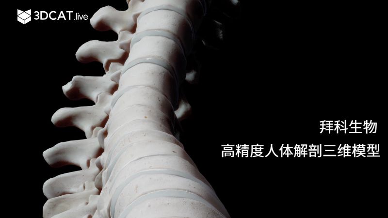 3DCAT客户案例