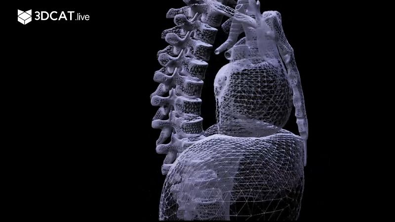 3DCAT在建筑家装行业的应用：线上浏览房屋全貌，得到全方位的数据展示，全面掌握信息。