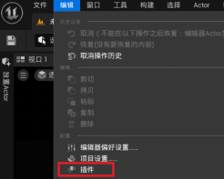 打开插件设置