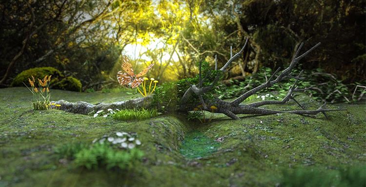 Octane For C4D Tutorial - Making Forest Scene Model Light Rendering (2)