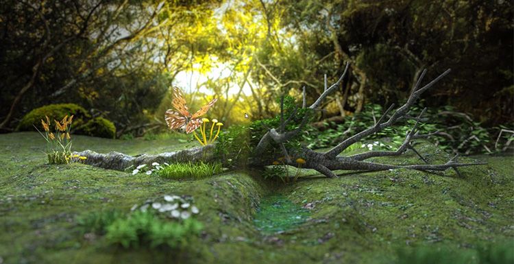 Octane For C4D Tutorial - Making Forest Scene Model Light Rendering (1)