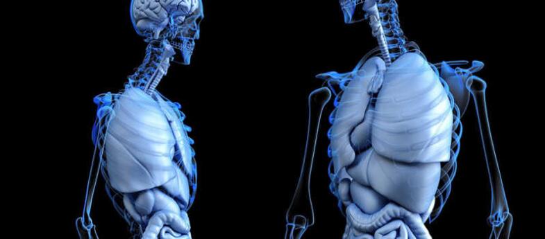 虚拟仿真在医疗行业中的应用 - 3DCAT实时渲染云平台 虚拟仿真在医疗行业中的应用 - 3DCAT实时渲染云平台