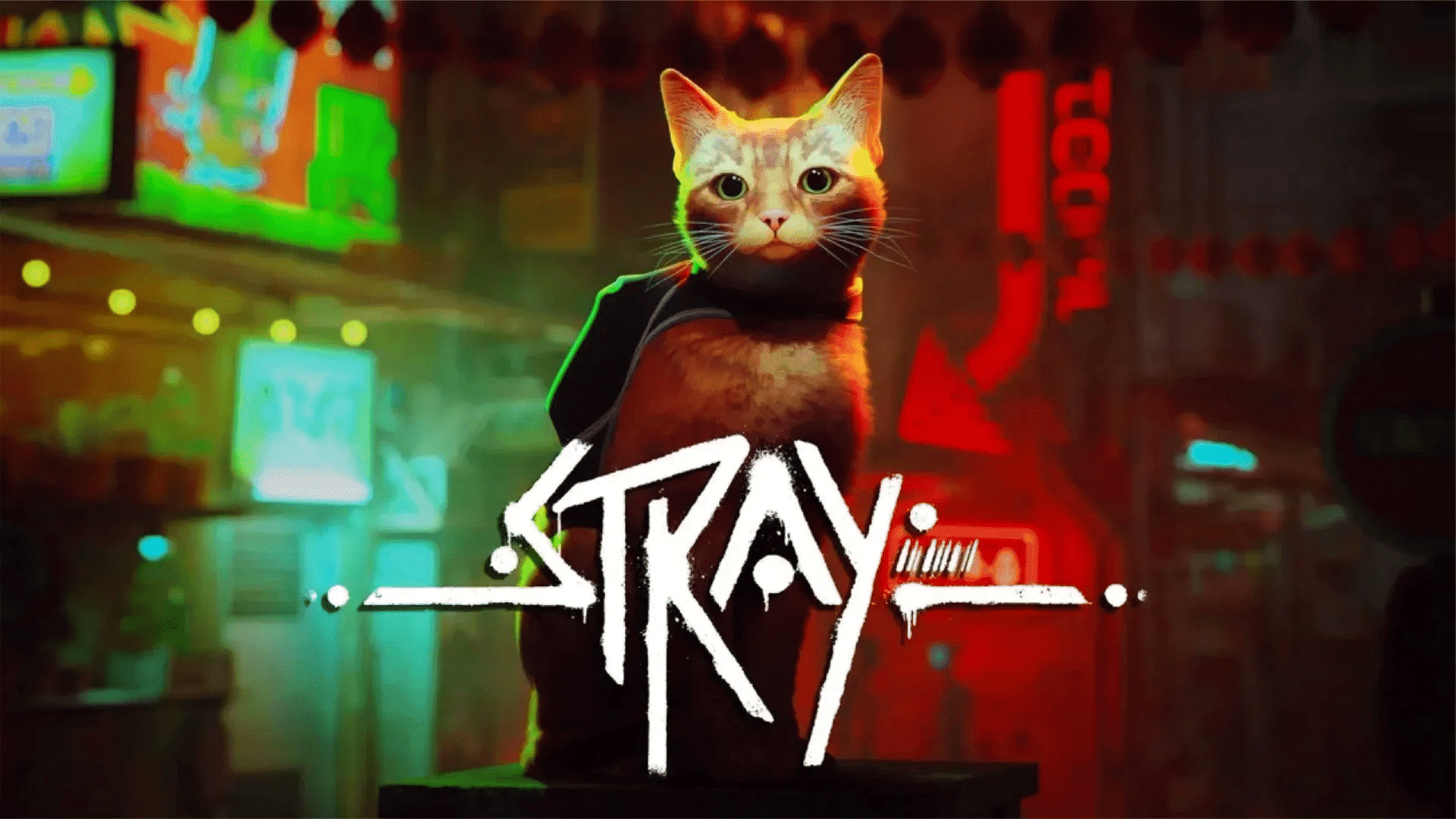 ”Stray“游戏画面1.png