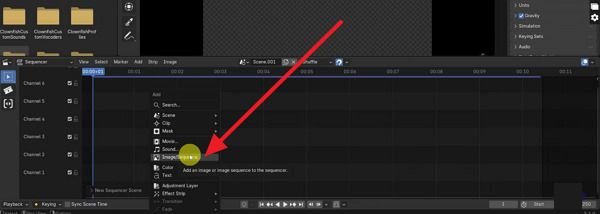 image and sequence option for frames