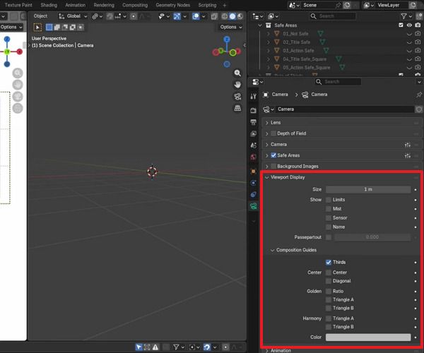 set viewport display and composition