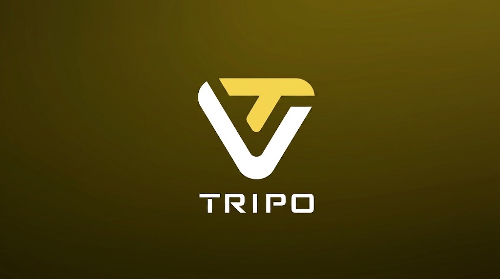 图片展示的是Tripo3D的标志。标志由一个黄色的“T”形图案和一个白色的“V”形图案组成，两者相交形成一个独特的几何图形。下方是“TRIPO”字样，字体为白色。该图片位于介绍Tripo3D优势的上下文之前，作为Tripo3D品牌标识出现，与文档中对其优势的介绍相呼应，直观呈现了该工具的品牌形象。