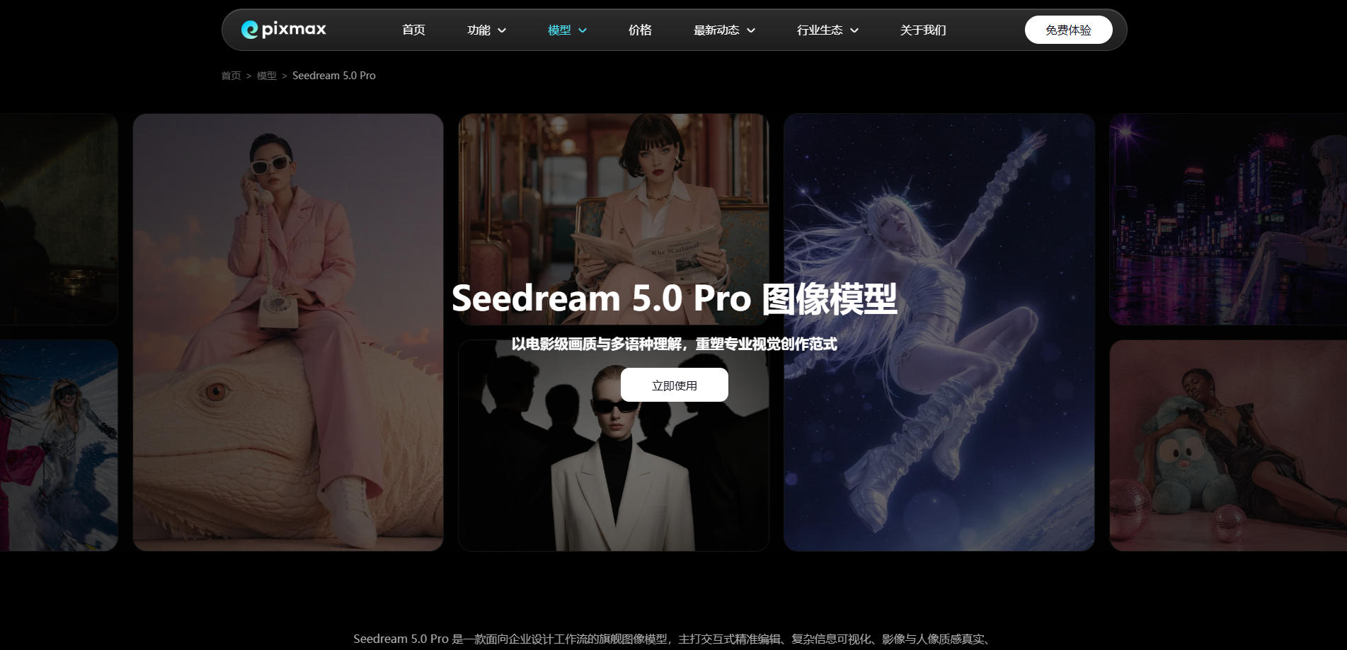 Pixmax Seedream 5.0 Pro 图像模型页面