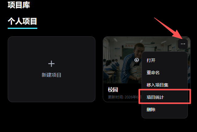 项目用量统计