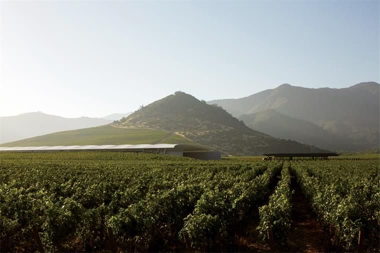 米拉胡维克酒庄